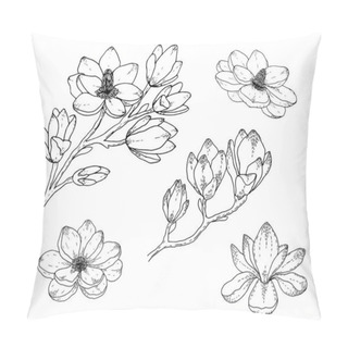 Personality  Magnolia Flower Drawings. Black And White With Line Art On White Backgrounds. Hand Drawn Botanical Illustrations. Pillow Covers