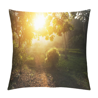 Personality  Sunset In Thailand,unknown Path On Koh Phangan Island Pillow Covers