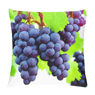 Personality  Background Photo Of A Bunch Of Blue Grapes In Leaves Pillow Covers