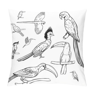 Personality  Hand Drawn Tropical Birds On White Background. Vector Sketch Illustration  Pillow Covers