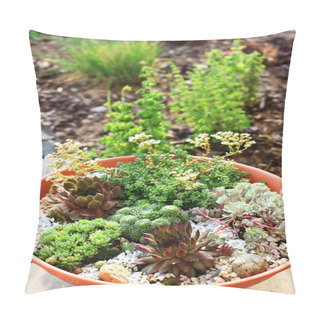 Personality  Small Rock Garden Pillow Covers
