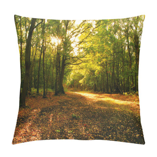 Personality  Autumn Forrest Pillow Covers