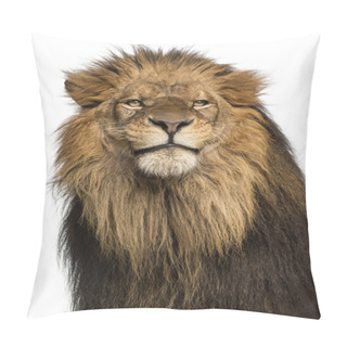 Personality  Close-up Of A Lion, Panthera Leo, 10 Years Old, Isolated On Whit Pillow Covers