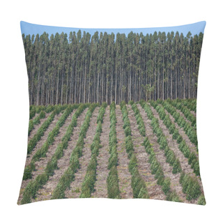 Personality  Tree Forests Plantation Wood Pillow Covers