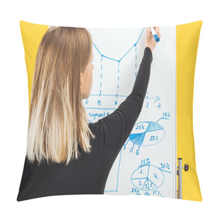 Personality  Back View Of Businesswoman Drawing Graphics And Diagrams On White Office Board Pillow Covers