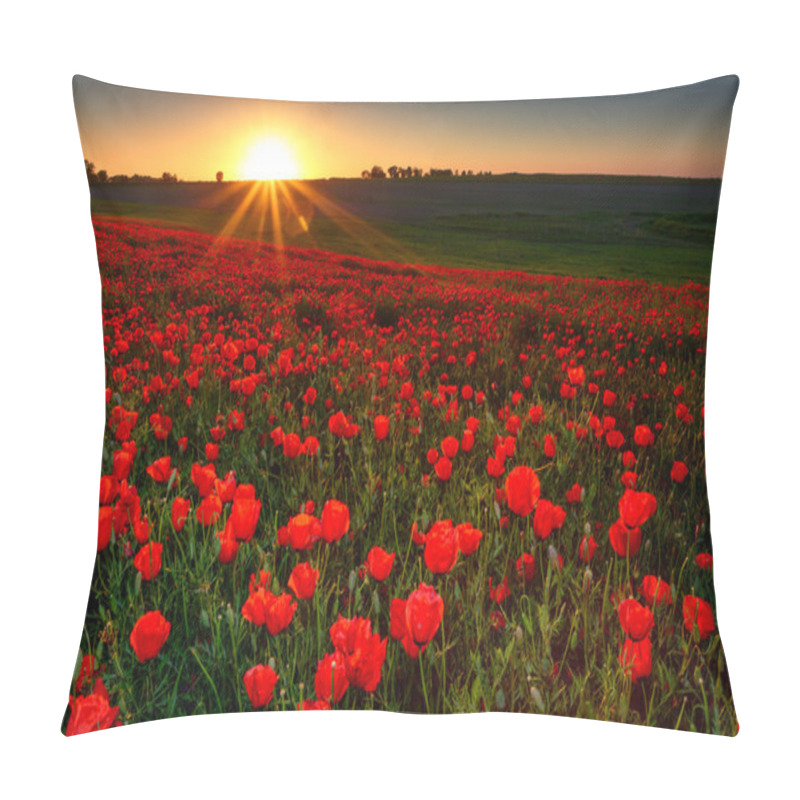 Personality  Sunset Over Field With Red Poppies Pillow Covers