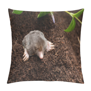 Personality  Mole In The Soil Hole Pillow Covers