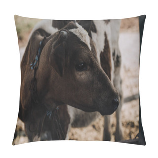 Personality  Little Adorable Calf Standing In Stall At Farm  Pillow Covers