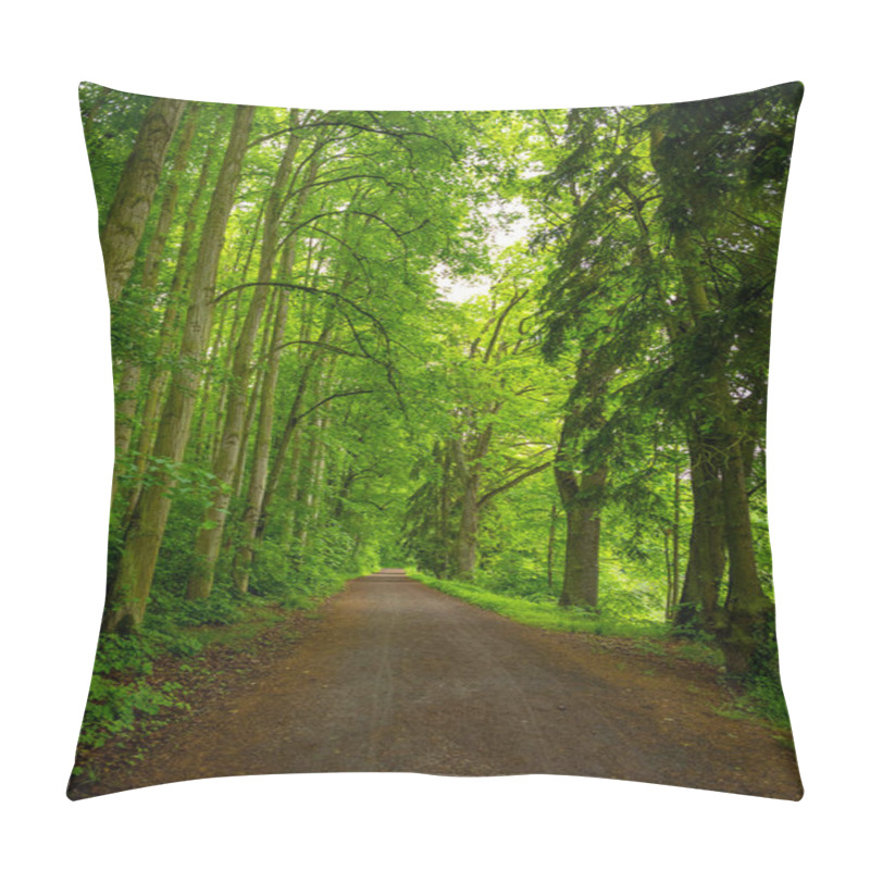 Personality  Walking path in beautiful, old deciduous forest in Konopiste, Czech Republic pillow covers