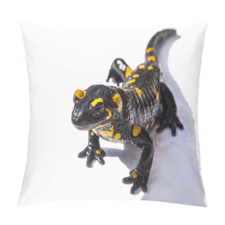 Personality  Fire Salamander Lizard On White Background Pillow Covers