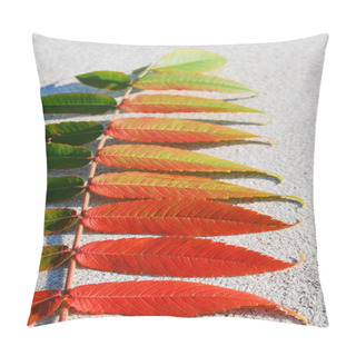 Personality  Only One Leaf Of Fraxinus During The Autumn Time Pillow Covers