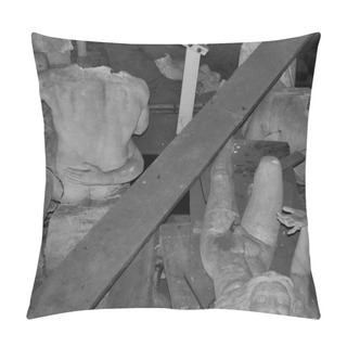 Personality  Broken Statues Among Debris Pillow Covers