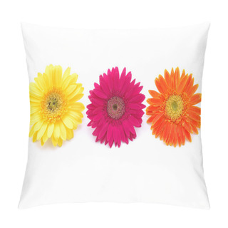 Personality  Colorful Gerber Daisies Pillow Covers