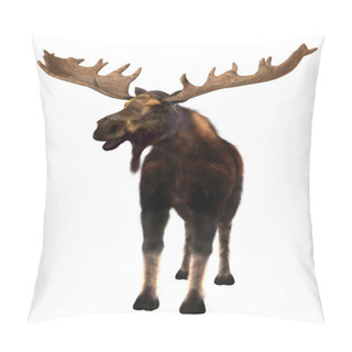 Personality  Moose Pillow Covers