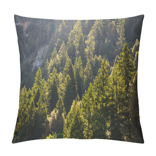 Personality  Ancient Forest, Ponderosa Pines Pillow Covers
