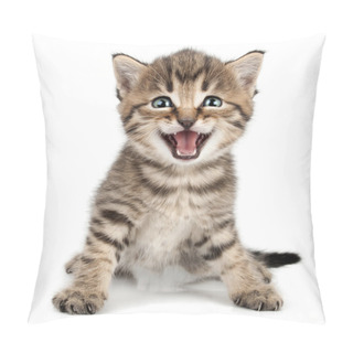 Personality  Beautiful Cute Little Kitten Meowing And Smiling Pillow Covers