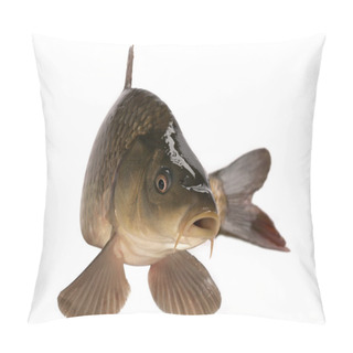 Personality  Carp Pillow Covers