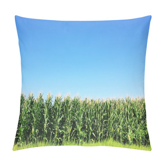 Personality  Green Corn Field At Portugal Pillow Covers