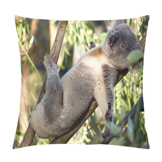 Personality  Lazy Koala Pillow Covers