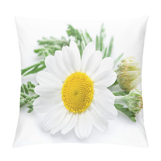 Personality  Chamomile Or Camomile Flowers. Pillow Covers