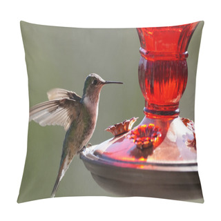 Personality  A Small Hummingbird Getting Ready For A Drink Pillow Covers