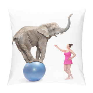 Personality  Circus Clown Girl And Elephant Pillow Covers