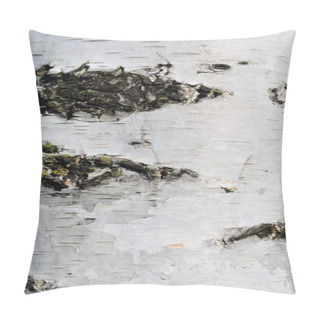 Personality  Bark On A Silver Birch Tree Pillow Covers