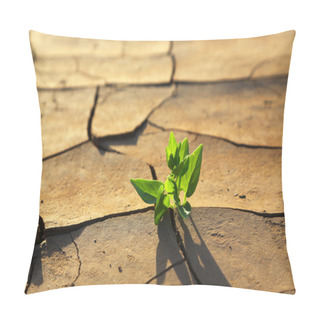 Personality  Plant Growing Through Dry Cracked Soil Pillow Covers