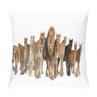 Personality  Large Group Of Many Adult Wild Cats And They Cub Together In A Row Pillow Covers