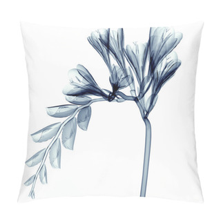 Personality  X-ray Image Of A Flower Isolated On White , The Freesia Pillow Covers