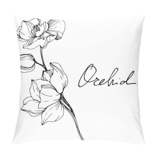 Personality  Beautiful Black And White Orchid Flowers Engraved Ink Art. Isolated Orchids Illustration Element On White Background. Pillow Covers