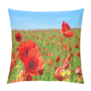 Personality  Poppy Flowers Field Pillow Covers