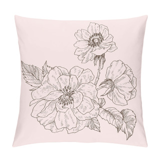 Personality  Wild Rose Blossom Branch Isolated On Pink. Vintage Botanical Hand Drawn Illustration. Spring Flowers Of Garden Rose, Dog Rose. Vector Design Pillow Covers