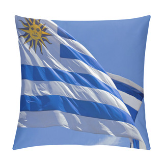 Personality  Uruguay Flag Close Up Pillow Covers