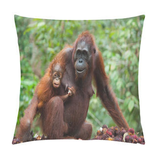Personality  Mother Orangutan With Cub Pillow Covers