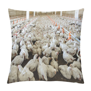Personality  Chicken Farm Pillow Covers