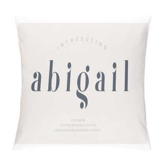 Personality  Elegant Alphabet Letters Font And Number. Classic Lettering Minimal Fashion Designs. Typography Modern Serif Fonts Decorative Vintage Concept. Vector Illustration Pillow Covers