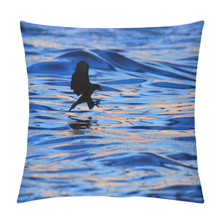 Personality  Eagle Flying Above Sea Pillow Covers
