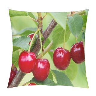 Personality  Sour Cherry Pillow Covers