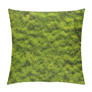 Personality  Moss Texture Pillow Covers