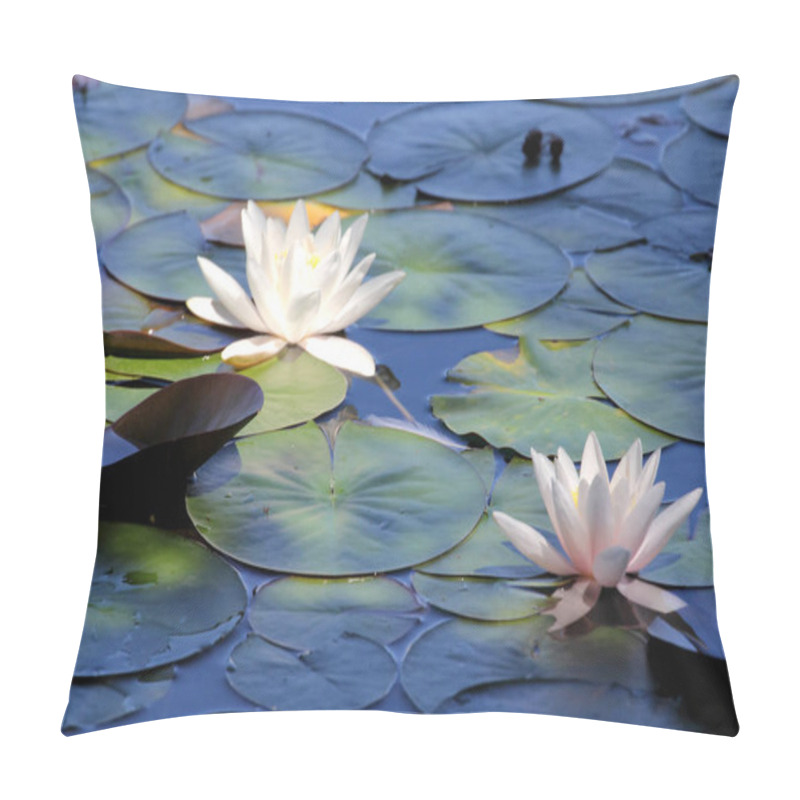 Personality  Beautiful Water Lilies Pond As A Wallpaper Pillow Covers