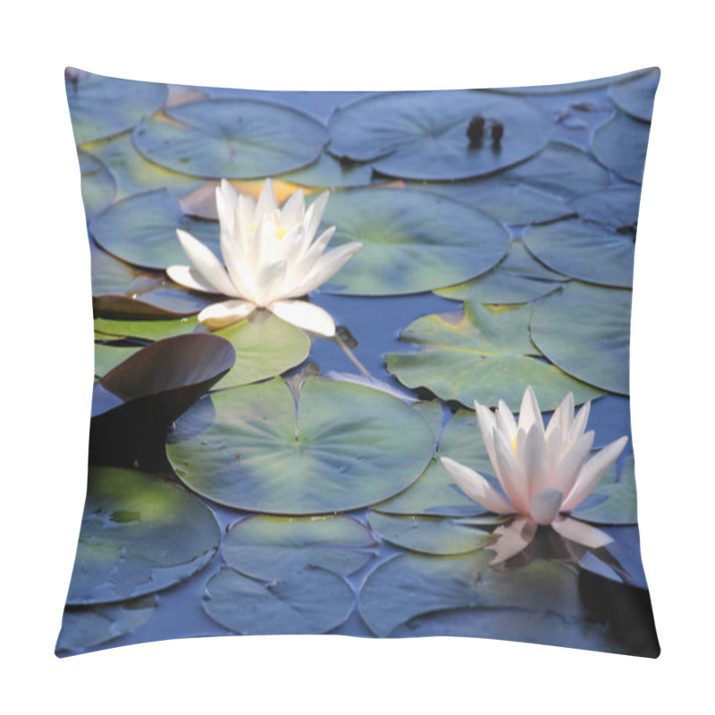 Personality  Beautiful Water lilies pond as a wallpaper pillow covers