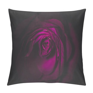 Personality  Purple Rose In Dark Pillow Covers