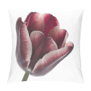 Personality  Tulip Flower Pillow Covers
