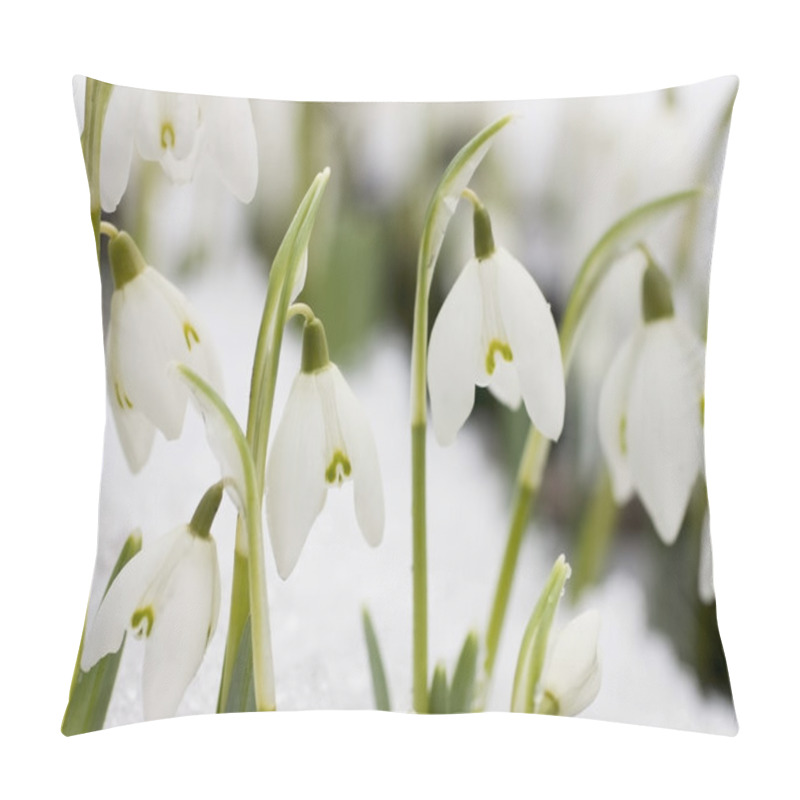 Personality  White snowdrops pillow covers