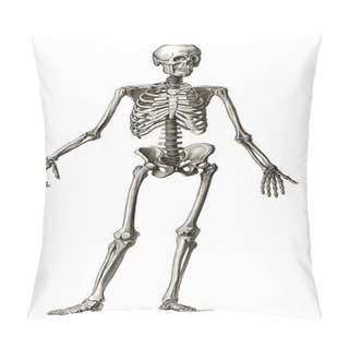 Personality  Old Engraving Of Human Skeleton Pillow Covers