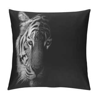 Personality  Black & White Beautiful Tiger - Isolated On Black Background Pillow Covers