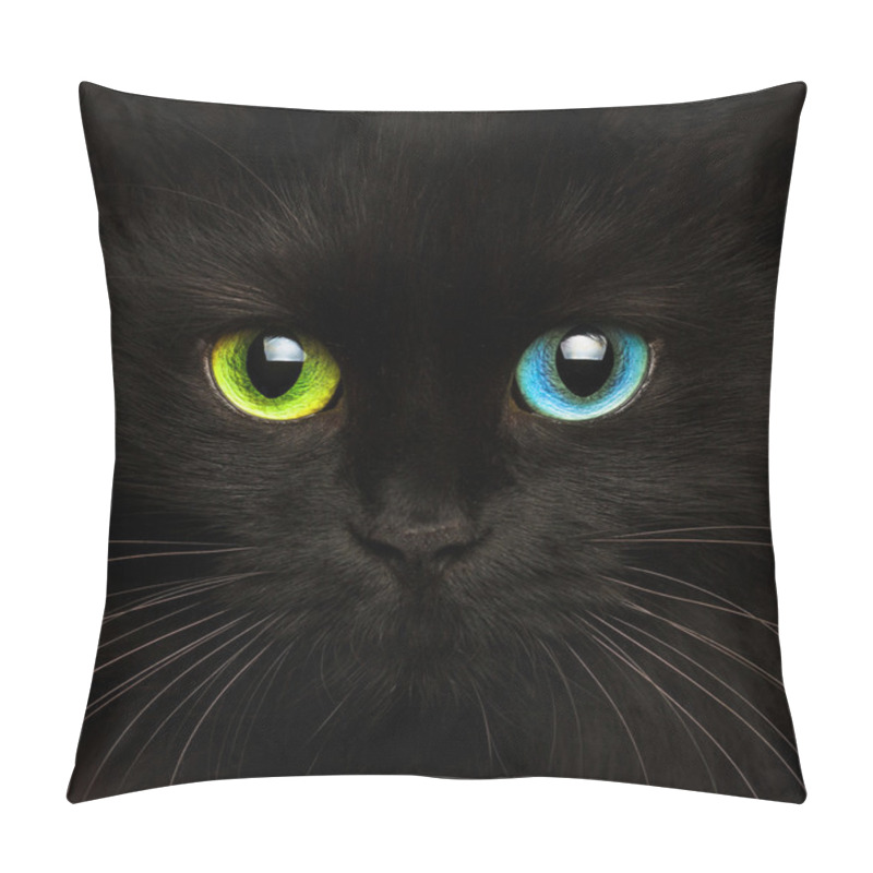 Personality  Black Cat With Eyes Of Different Colors Closeup Pillow Covers