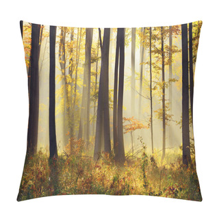 Personality  Beautiful Autumn Forest Landscape With Morning Sunbeams Pillow Covers