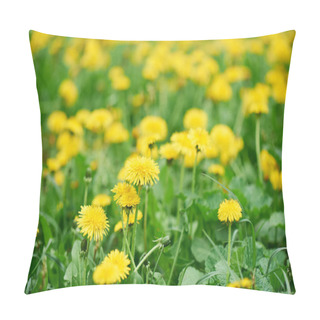 Personality  Selective Focus Of Beautiful Bright Yellow Blooming Dandelions  Pillow Covers
